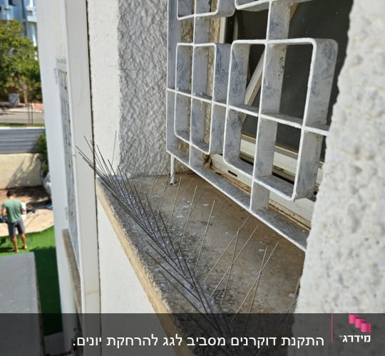 דוקרנים למניעת יונים על אדן חלון